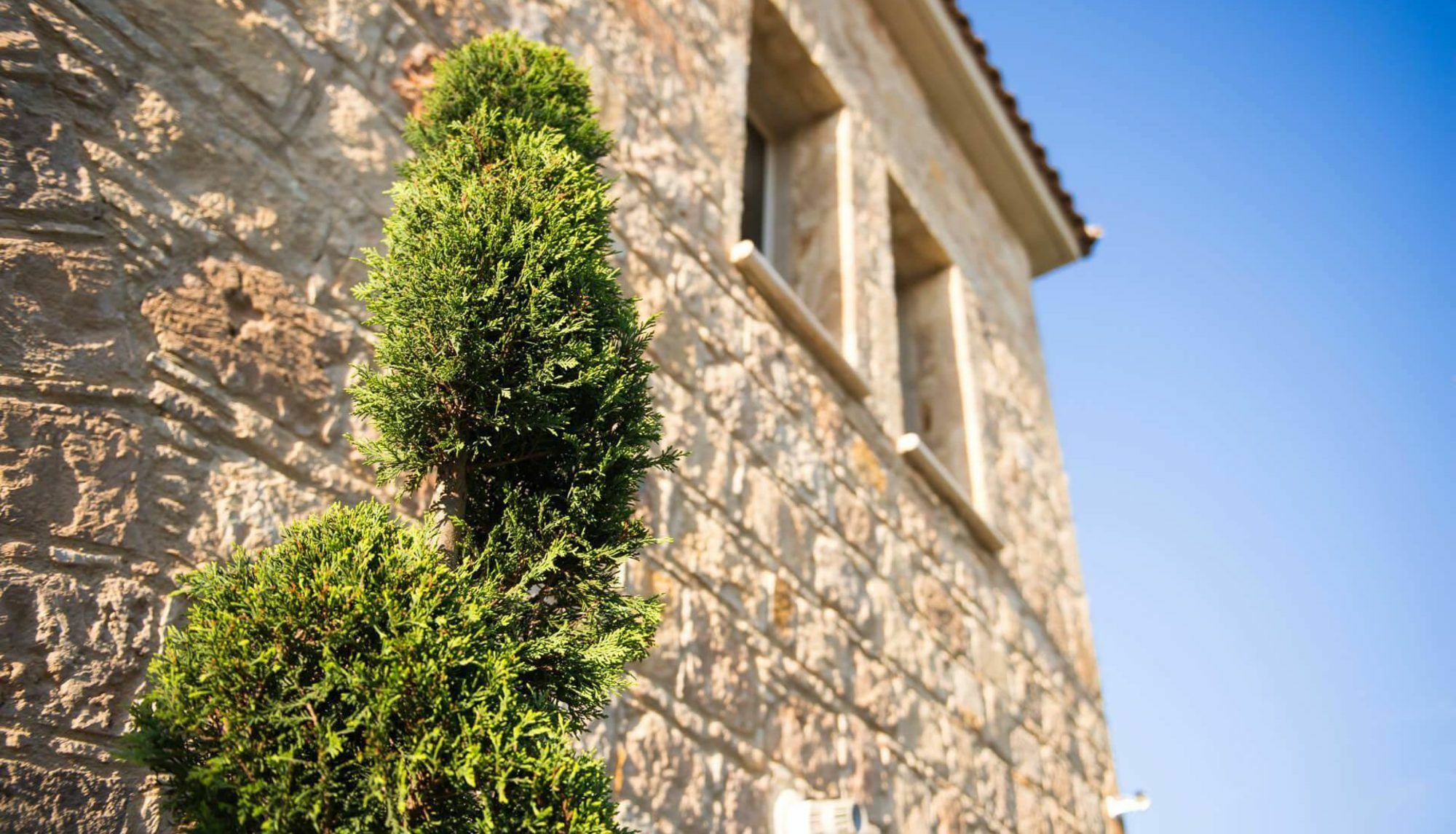 Villa Jaimi Πέγεια Εξωτερικό φωτογραφία